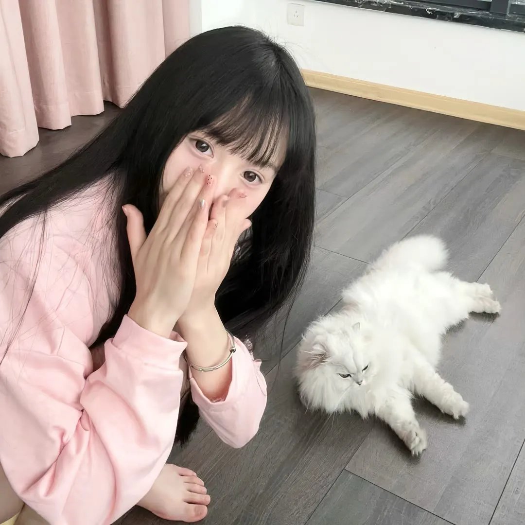 东京白日梦女2020